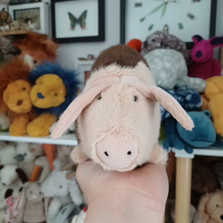 Front - Higgledy Piggledy Old Spot Pig - Small photo by herbgardenplush