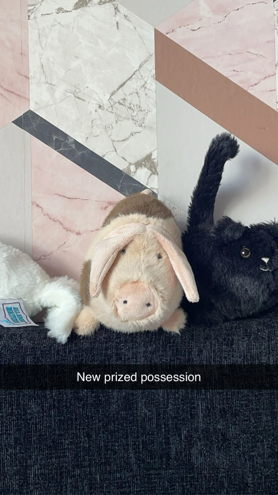 Front - Higgledy Piggledy Old Spot Pig - Small photo by Cocoxoxo
