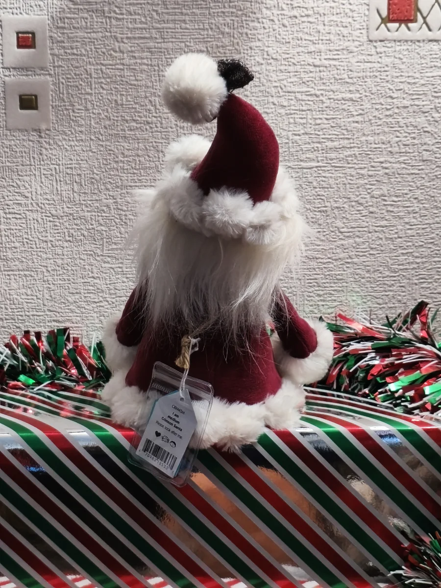 Back - Crimson Santa photo by Jelly_0ne