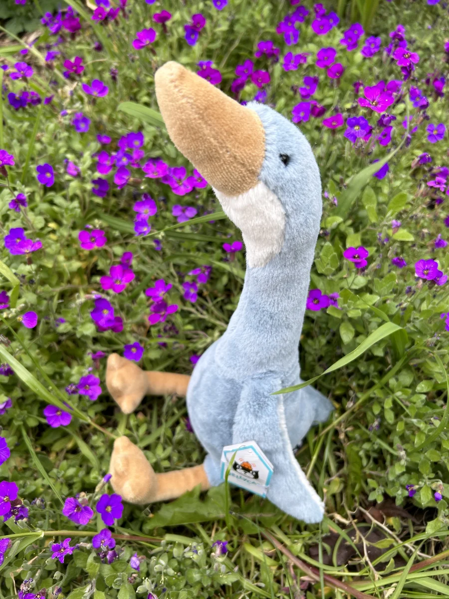 Lifestyle - Daisy Runner Duck - Medium photo by Godlana