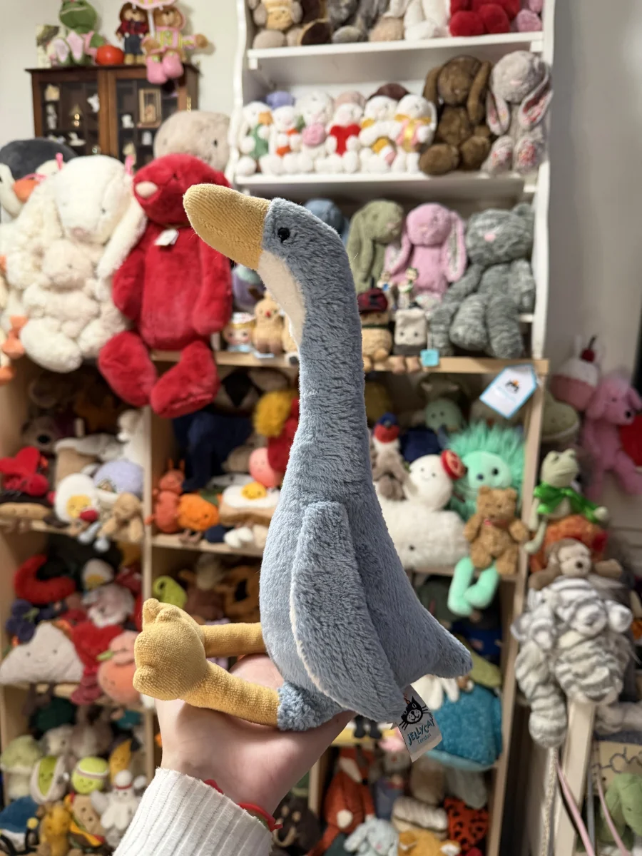 Side - Daisy Runner Duck - Medium photo by amandamariejelly