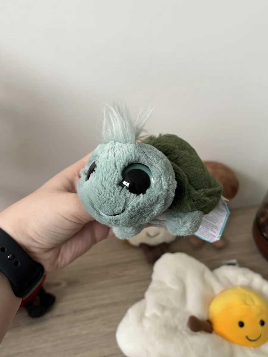 Front - Frizzles Tortoise photo by the_jelly_jungle
