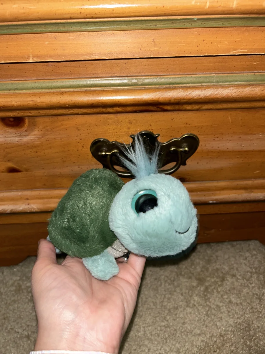 Front - Frizzles Tortoise photo by averyd2003