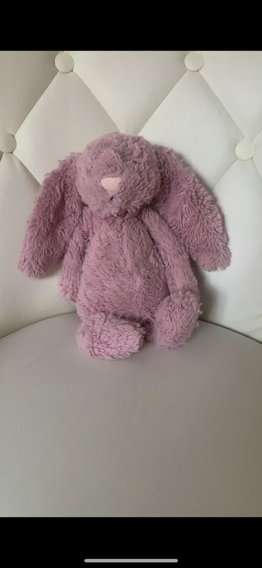 Front - Bashful Sorbet Bunny - Medium photo by its.amb3rrx