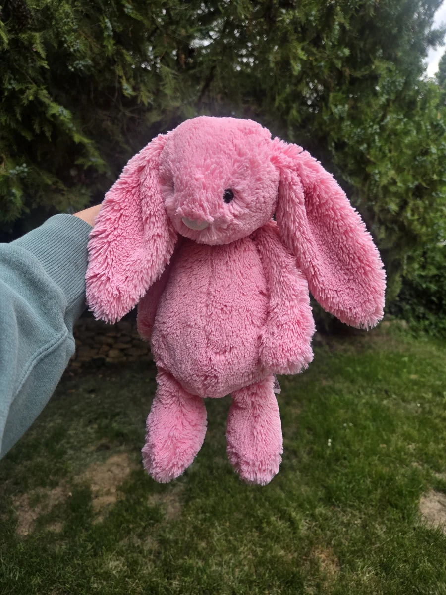 Side - Bashful Sorbet Bunny - Medium photo by Eliza23