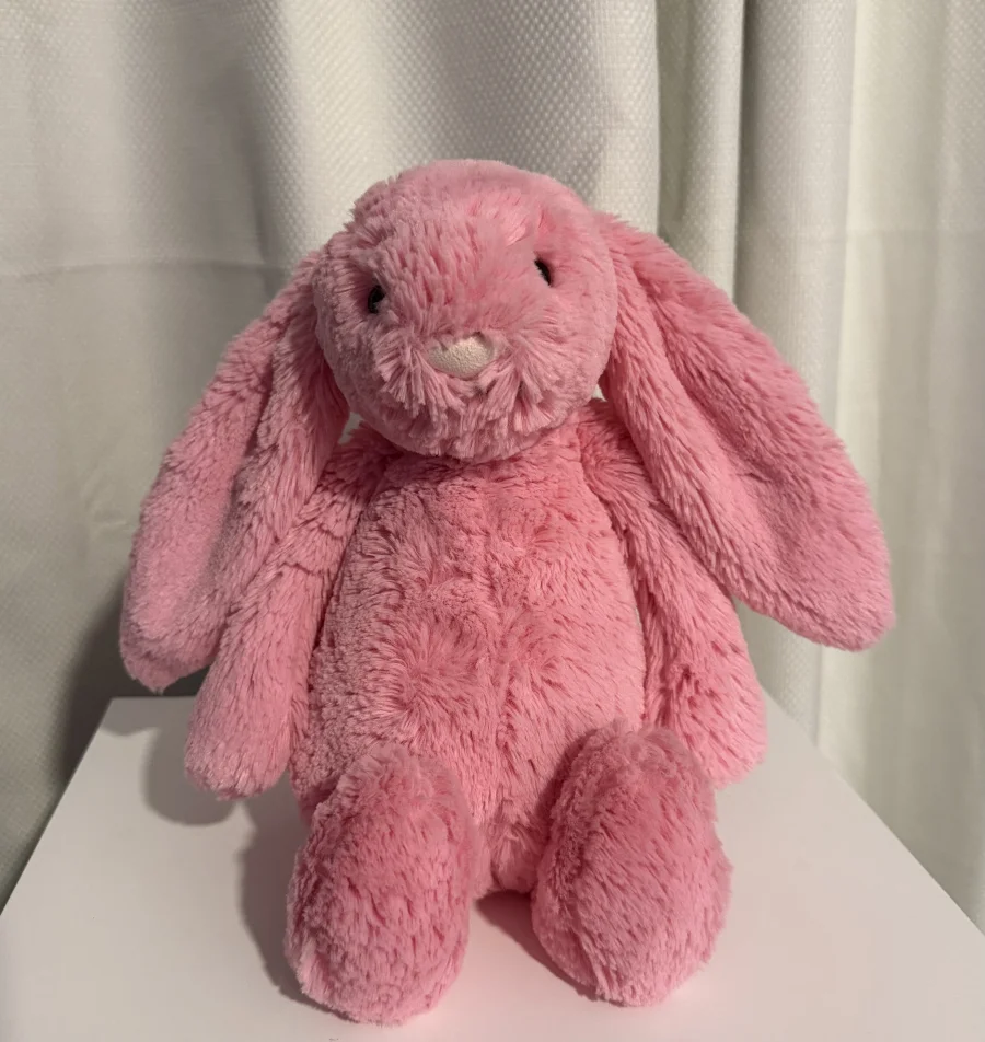 Front - Bashful Sorbet Bunny - Medium photo by Bunnylove