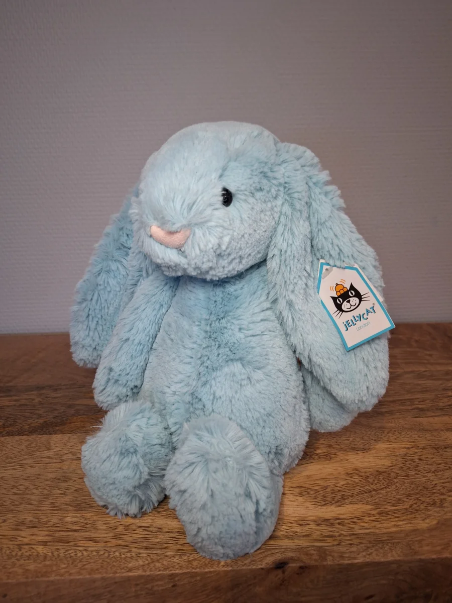 Front - Bashful Aqua Bunny - Medium photo by Sofie