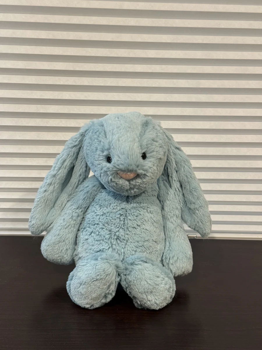 Front - Bashful Aqua Bunny - Medium photo by Bunnylove
