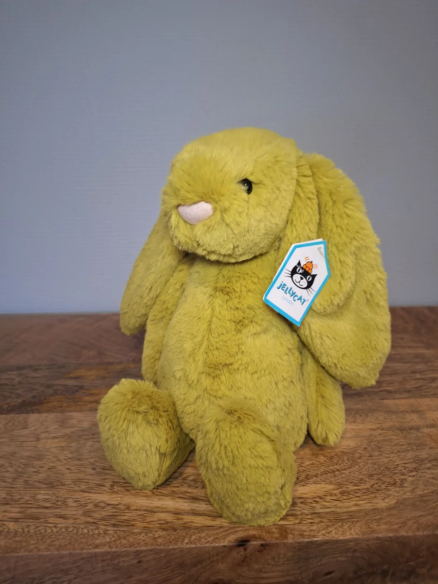 Front - Bashful Zingy Bunny - Medium photo by Sofie