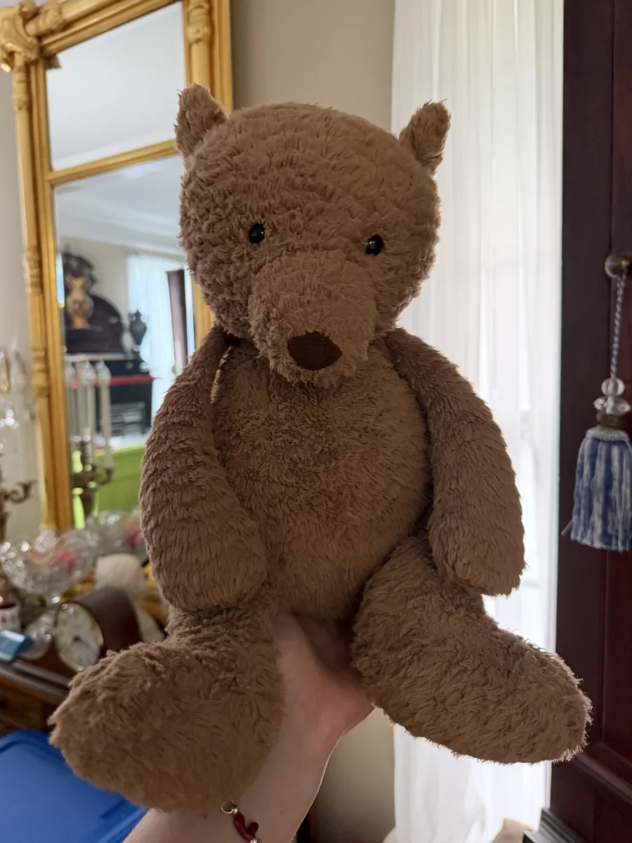 Front - Cocoa Bear - Large photo by amandamariejelly