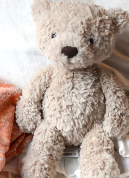 Front - Fletcher Bear photo by Greatgrl