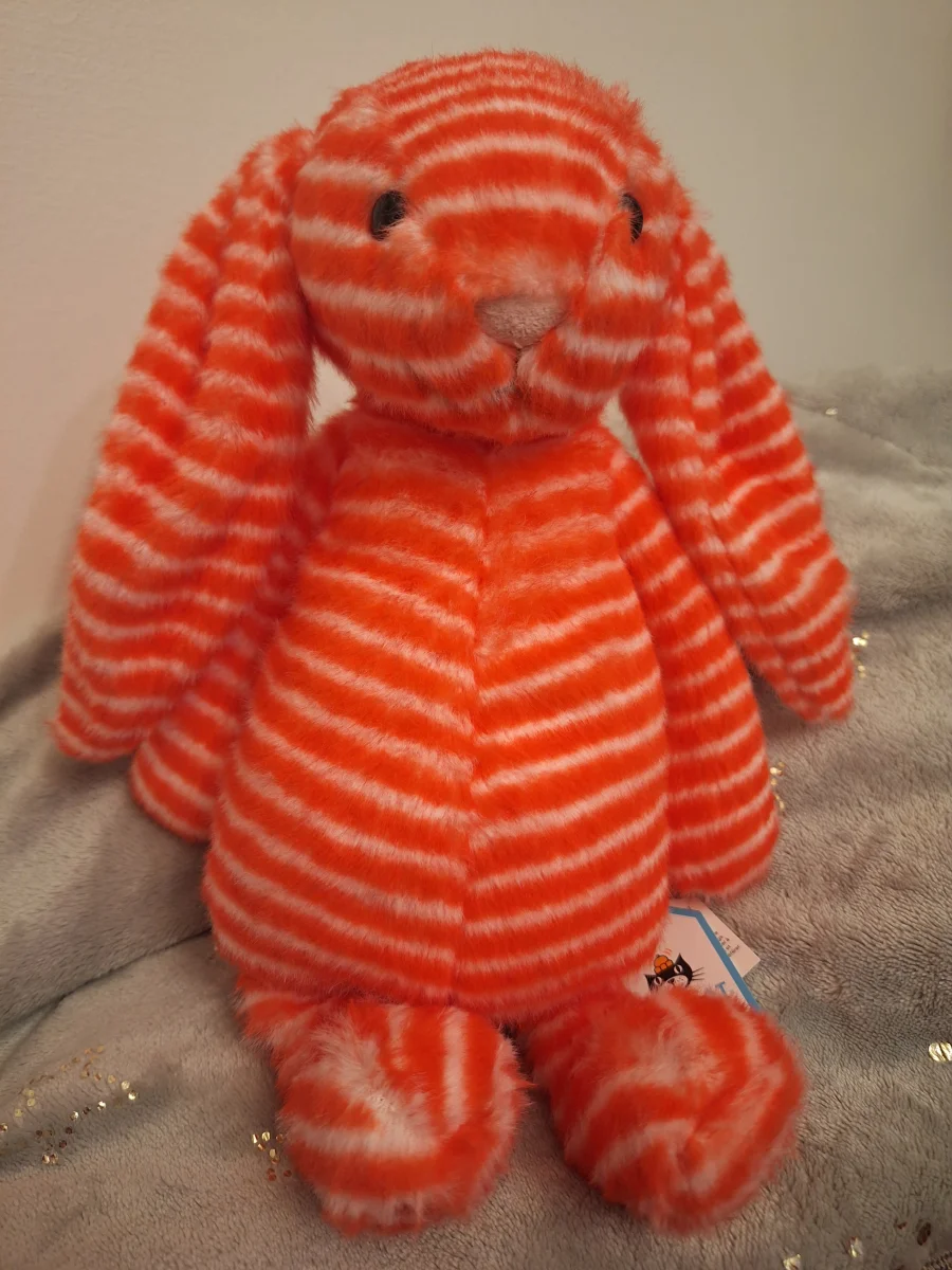Front - Bashful Evey Bunny photo by Emijel