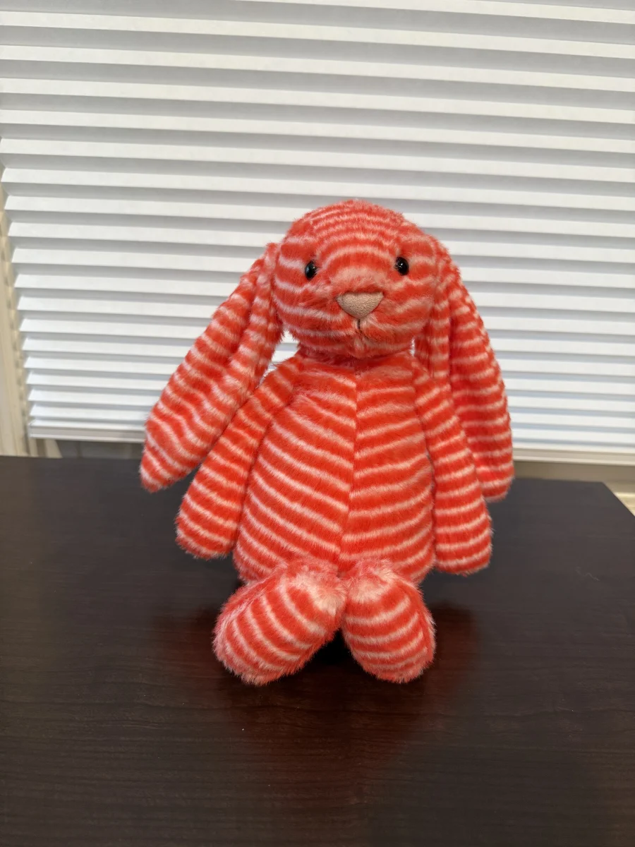 Front - Bashful Evey Bunny photo by Bunnylove