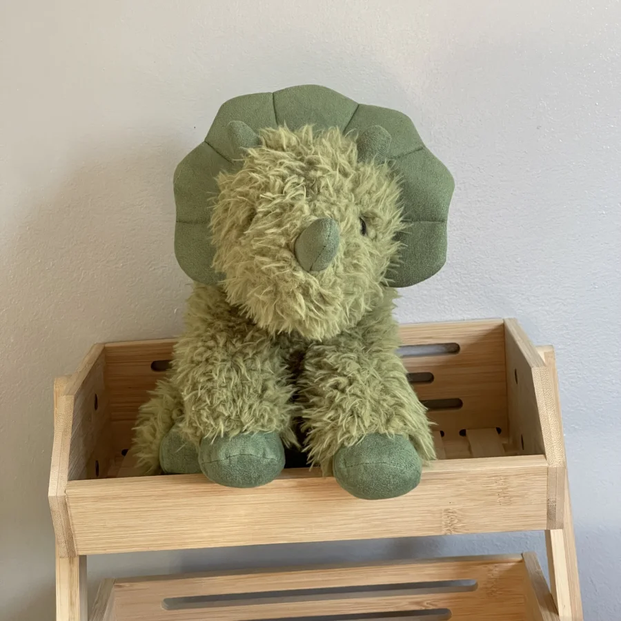 Front - Curvie Dino photo by charlotteriddettepage