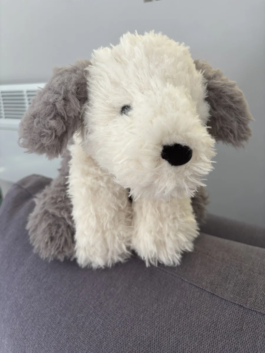 Front - Curvie Sheep Dog photo by helenlouise27