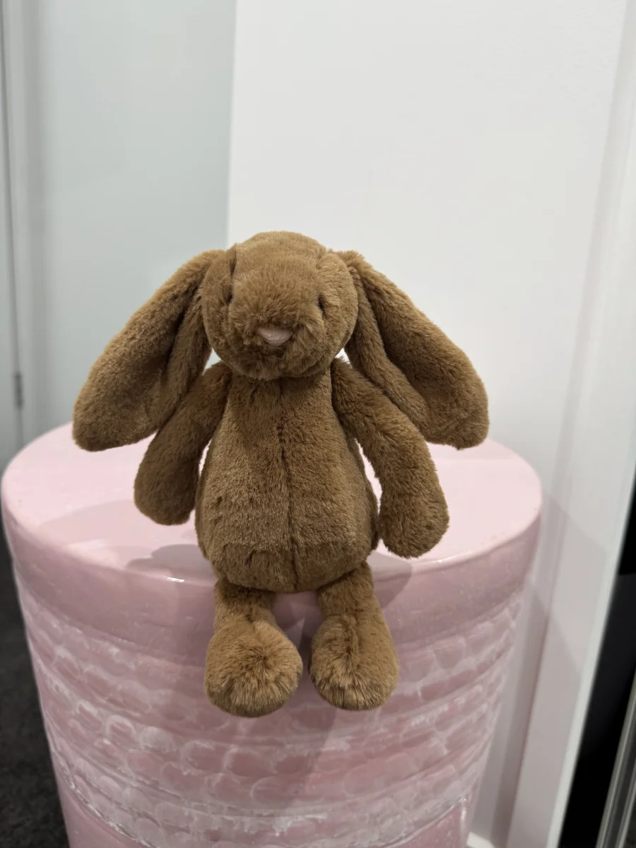 Front - Bashful Nutmeg Bunny photo by Ellajordan
