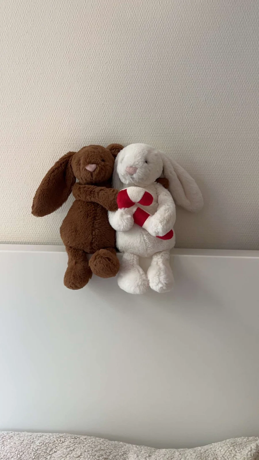 Front - Bashful Nutmeg Bunny photo by Sterriex