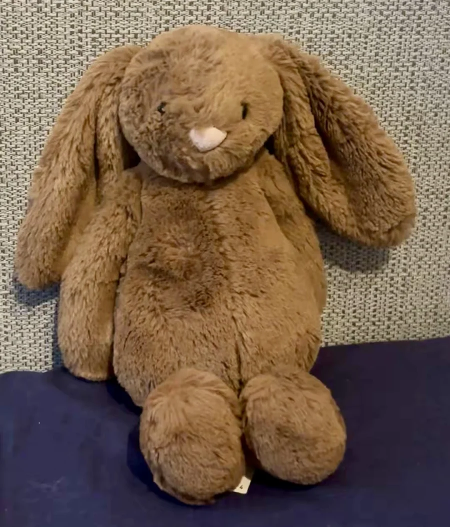 Front - Bashful Nutmeg Bunny photo by emmerlyh