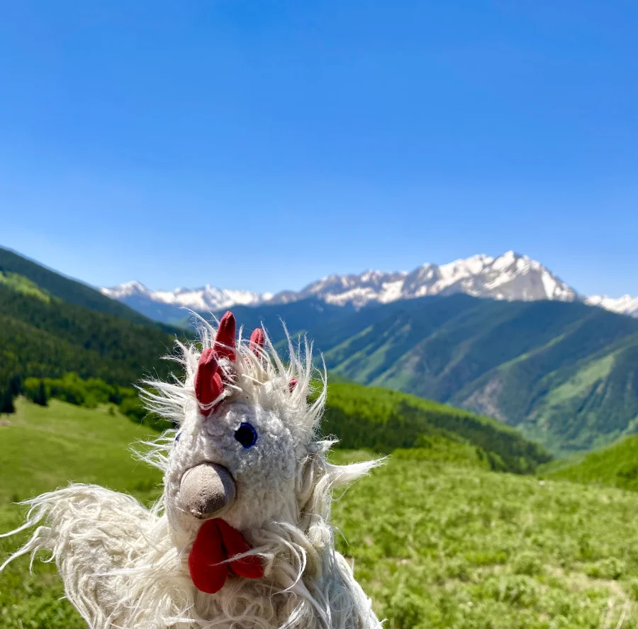 Lifestyle - Matilda Hen - Medium photo by Chixpiccato