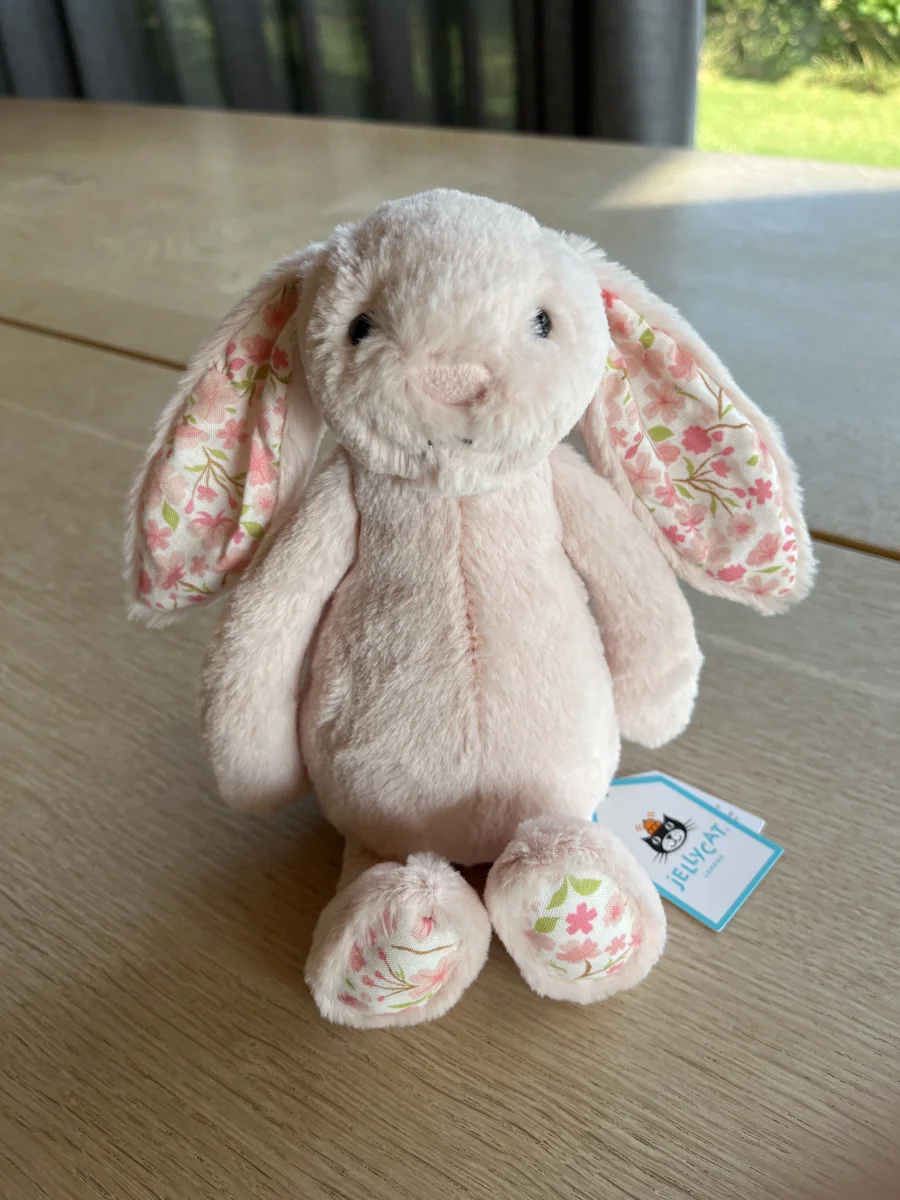 Front - Blossom Blush Bunny 'Cherry' - Small photo by SofieA