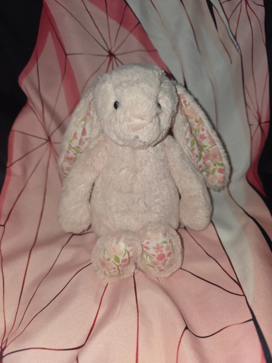 Front - Blossom Blush Bunny 'Cherry' - Small photo by Lissy<3