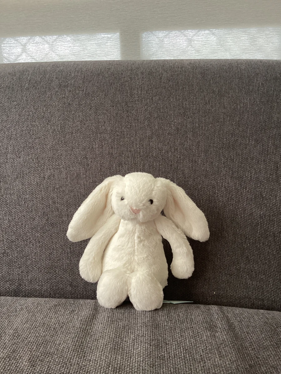 Front - Bashful Cream Bunny - Small photo by Lacey67