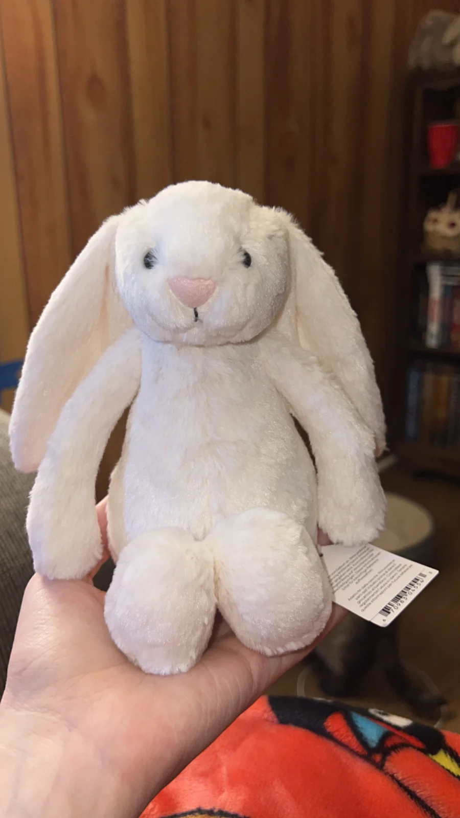 Front - Bashful Cream Bunny - Small photo by mayasjellycats133