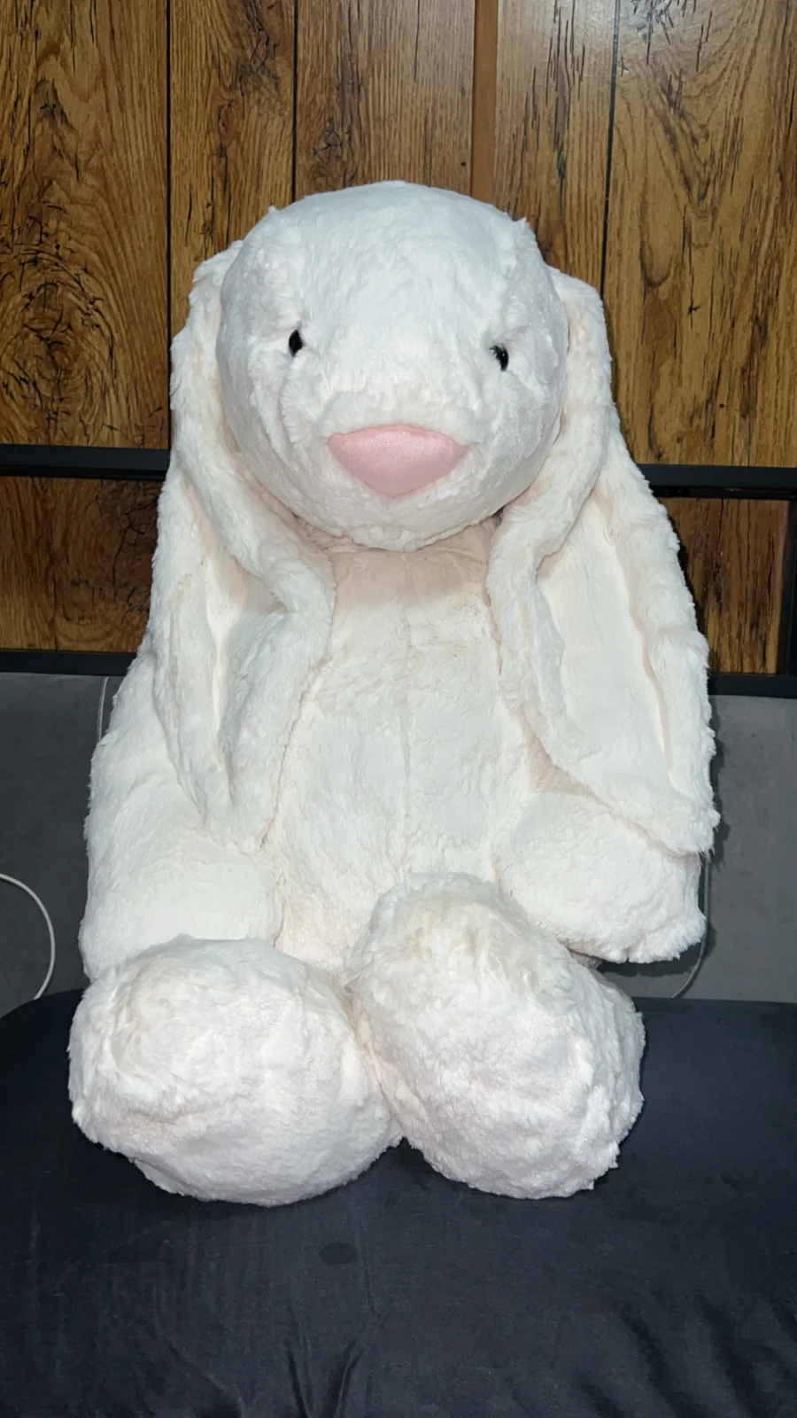 Front - Bashful Cream Bunny - Really Big photo by mayasjellycats133