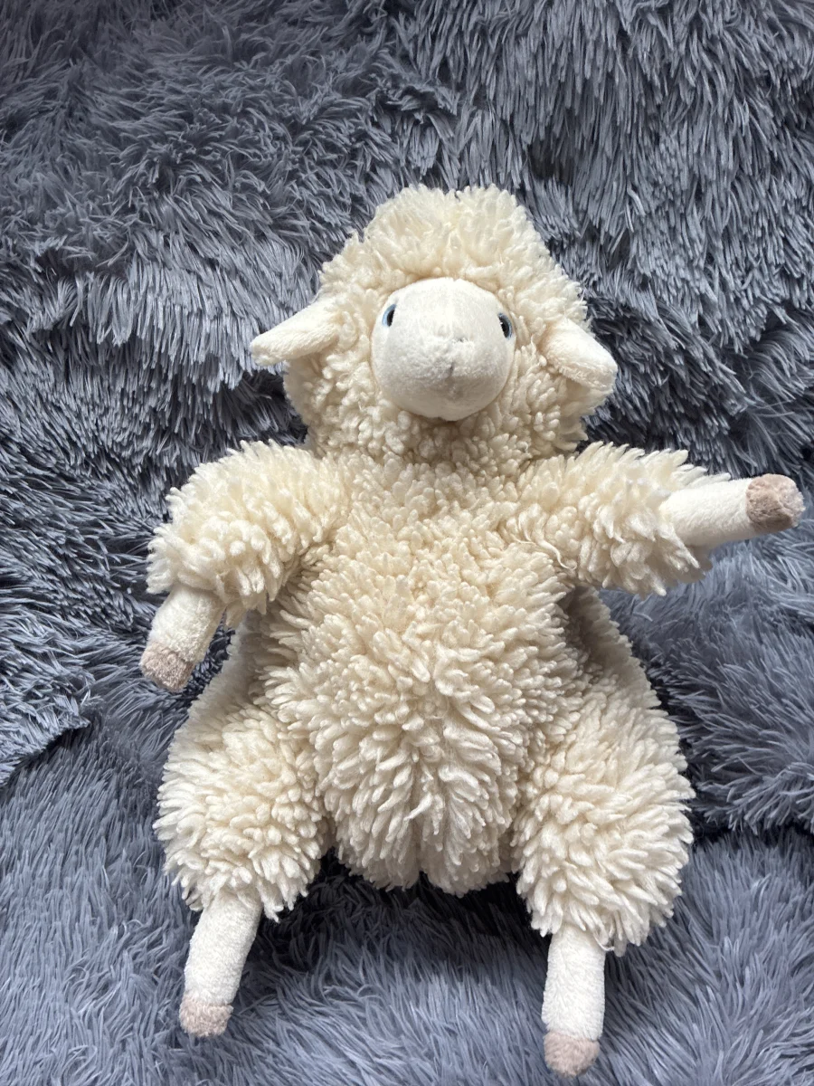 Front - Bibbly Bobbly Sheep photo by iris_luvs_jelly