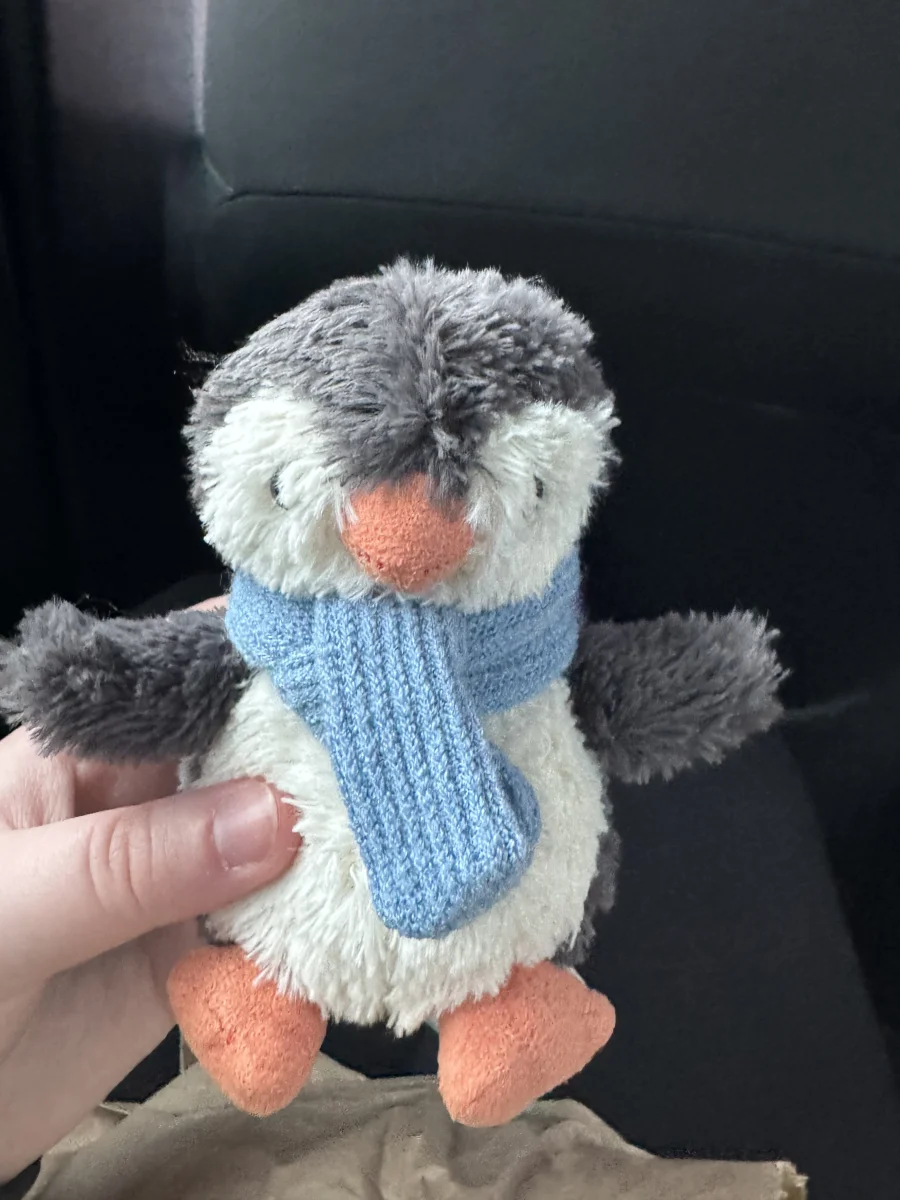 Front - Peanut Penguin Decoration photo by Dervla438