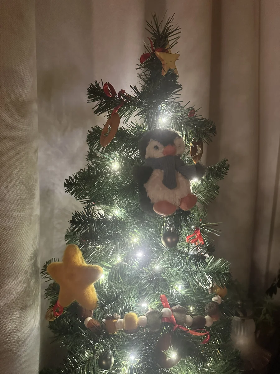 Lifestyle - Peanut Penguin Decoration photo by jellysnoet
