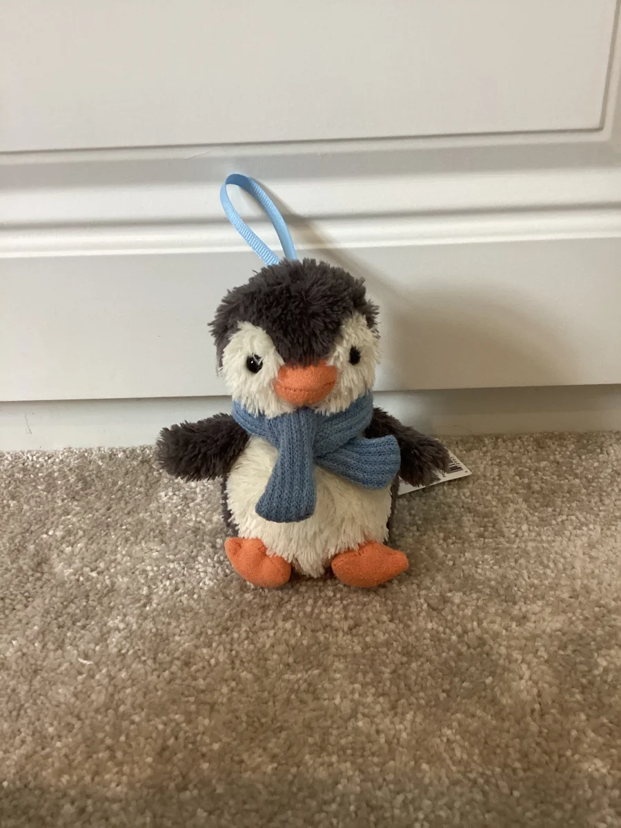 Front - Peanut Penguin Decoration photo by Iyana