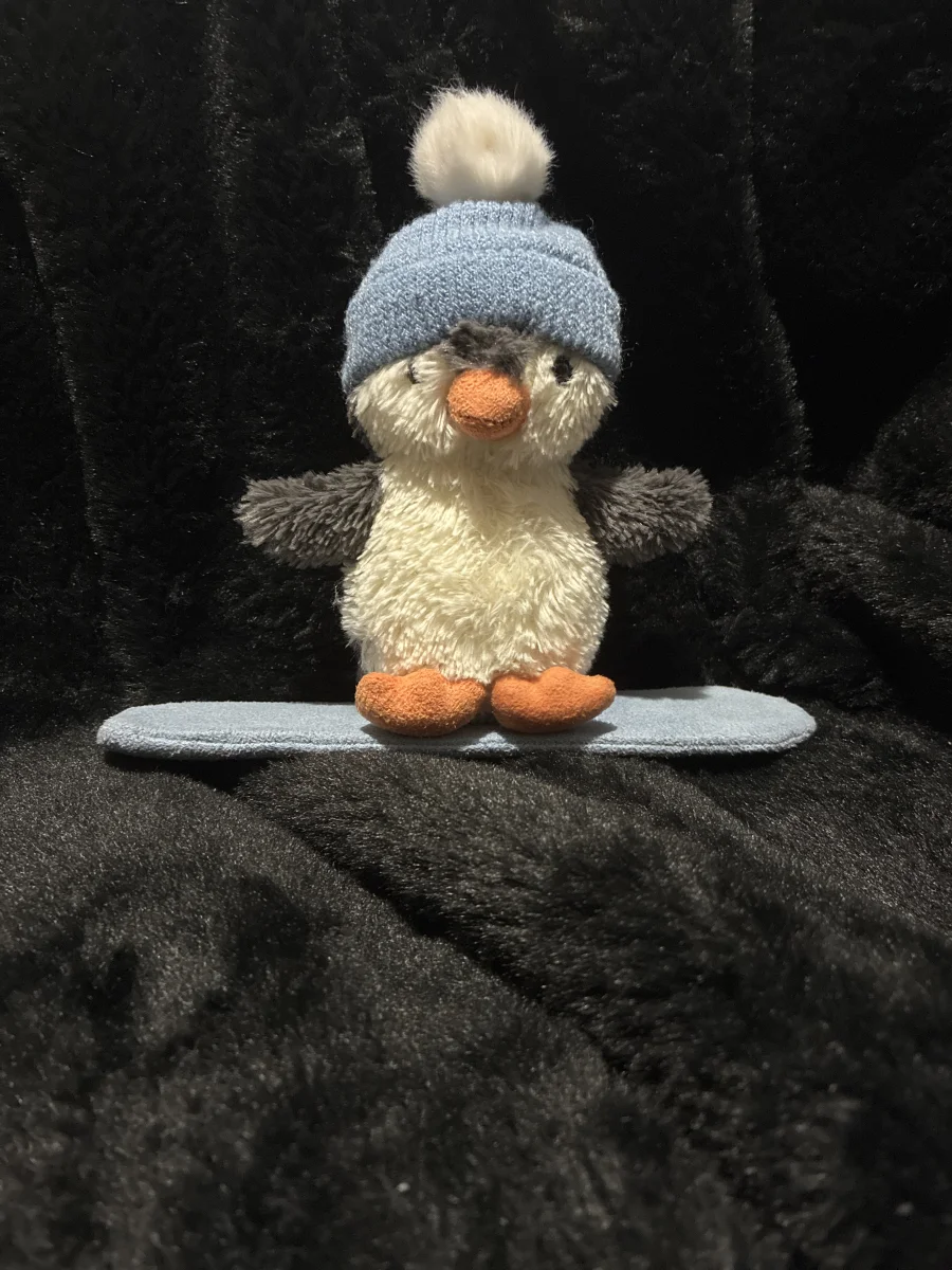 Front - Peanut Penguin Snowboarding photo by Jellybunnys1984