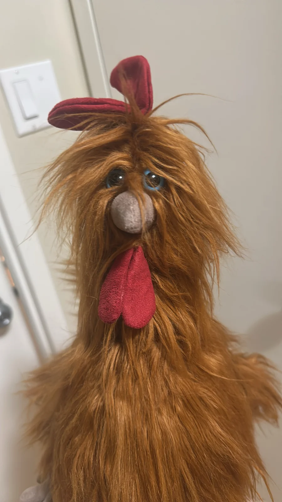 Front - Kenny Cockerel - Medium photo by Sarahazaleia