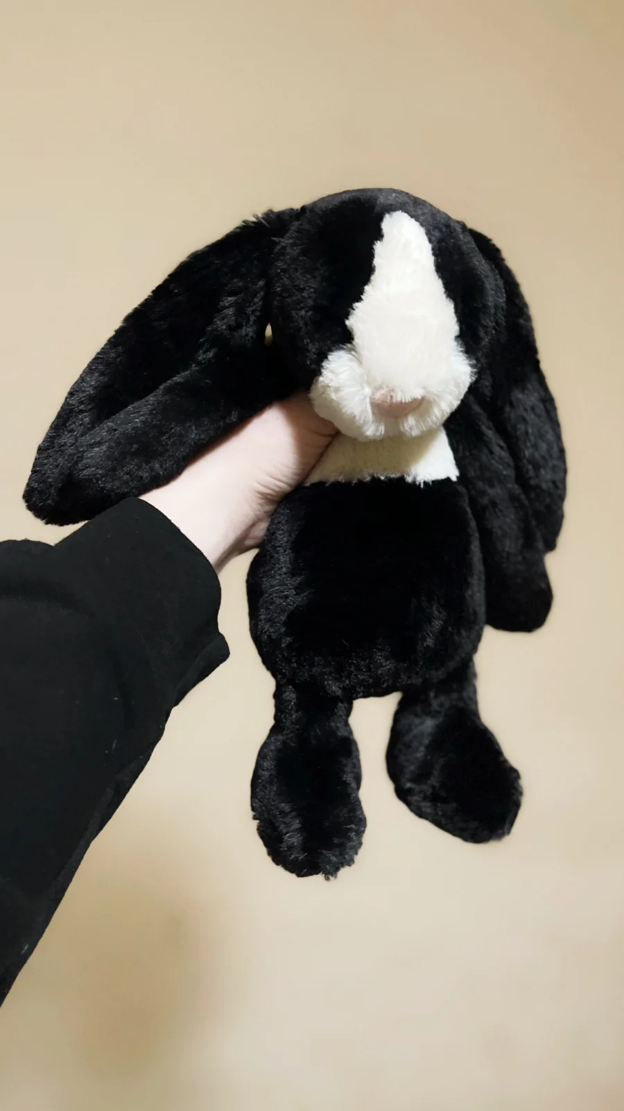 Front - Bashful Dutch Bunny - Medium photo by thecolourcoral