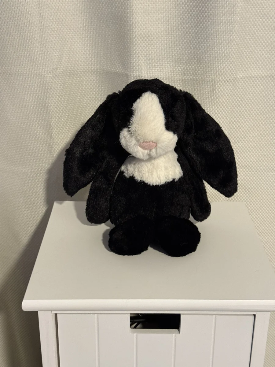 Front - Bashful Dutch Bunny - Medium photo by Bunnylove