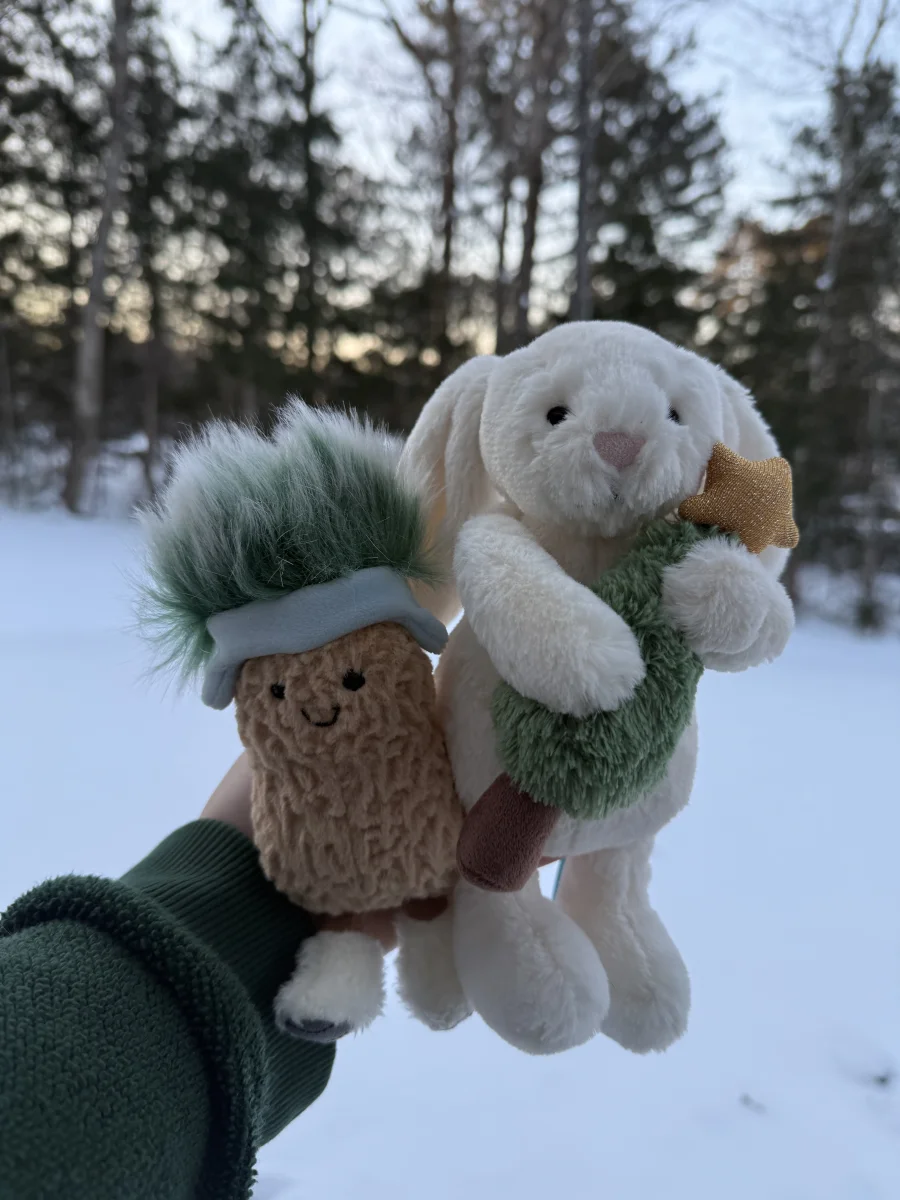 Front - Bashful Bunny with Christmas Tree photo by catycake