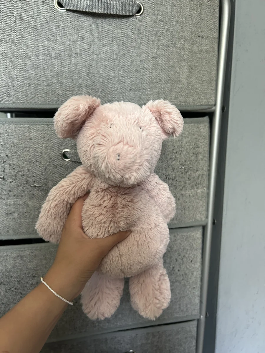 Front - Bashful Piggy - Medium photo by averyd2003
