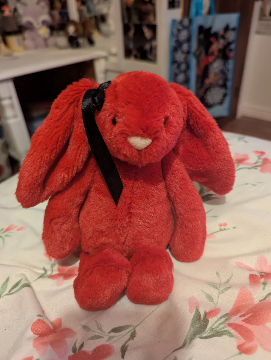 Front - Bashful Cranberry Bunny photo by Coco_5