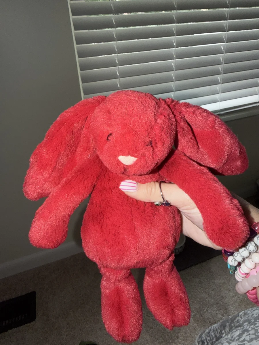 Front - Bashful Cranberry Bunny photo by alinsey
