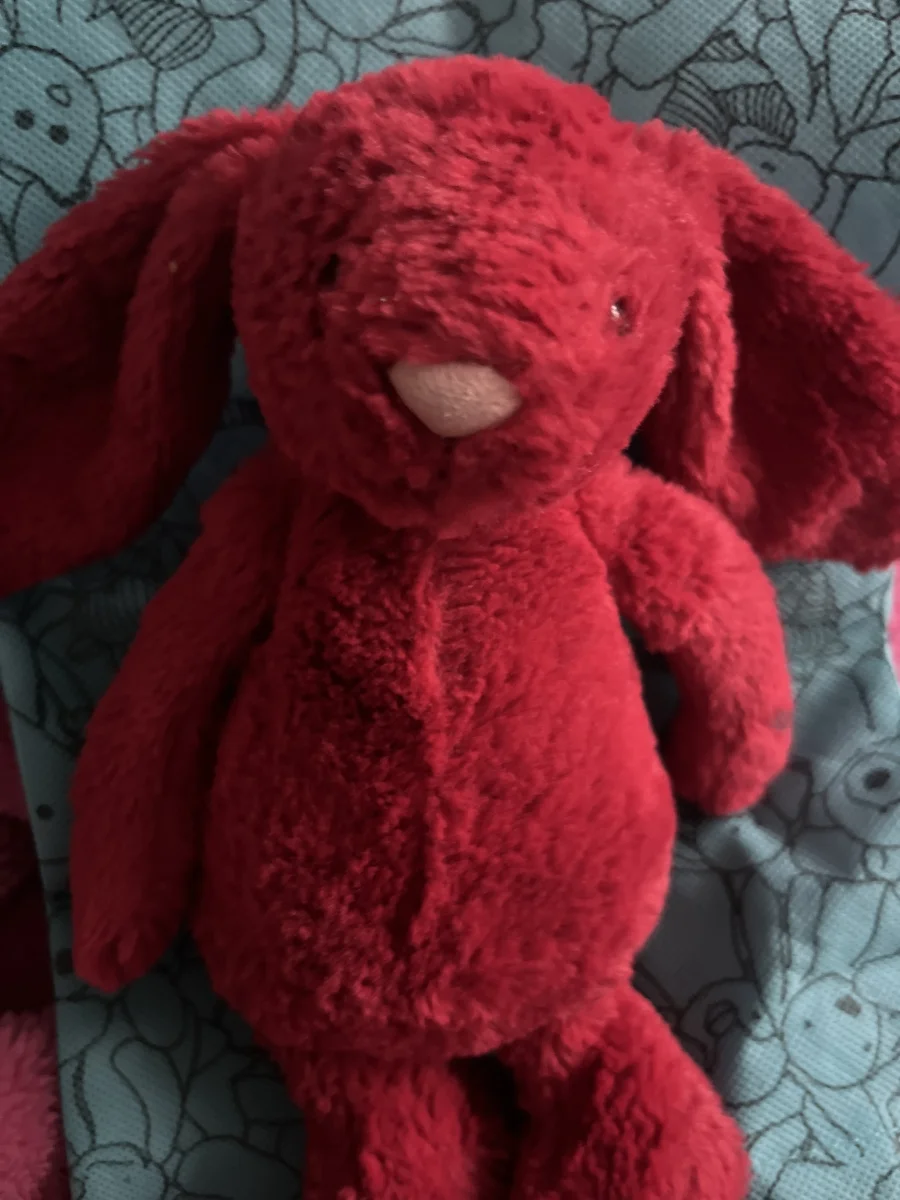 Lifestyle - Bashful Cranberry Bunny photo by mya_jellylover