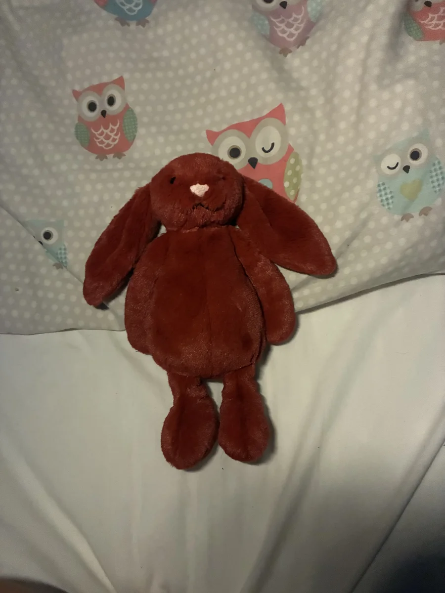 Front - Bashful Cranberry Bunny photo by Paige_Aris