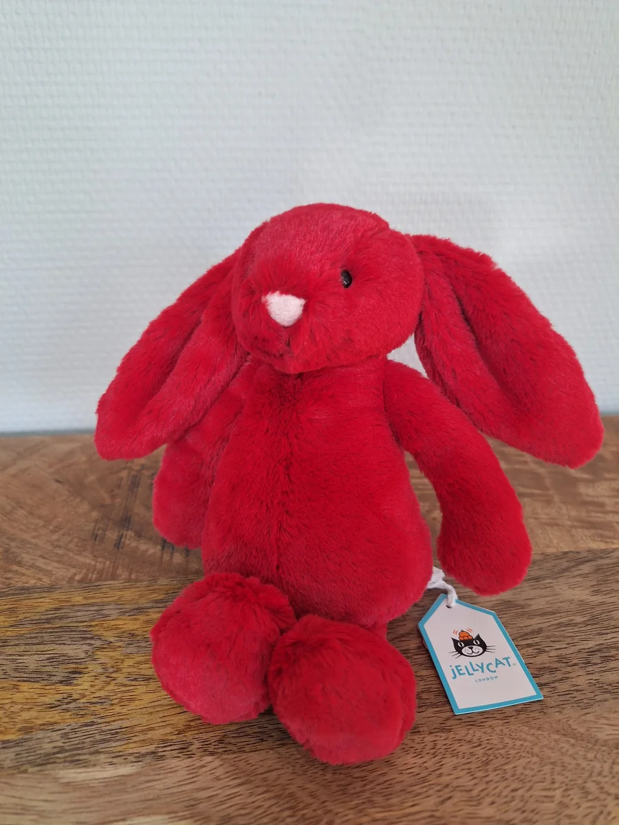 Front - Bashful Cranberry Bunny photo by Sofie