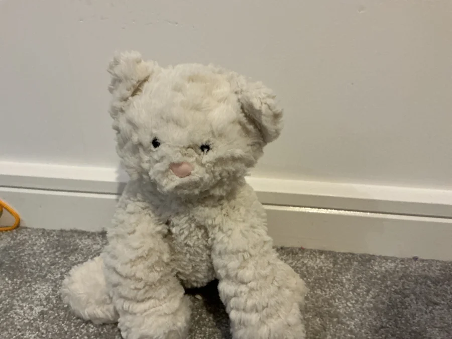 Front - Fuddlewuddle Kitty - Medium photo by Jellycatninah