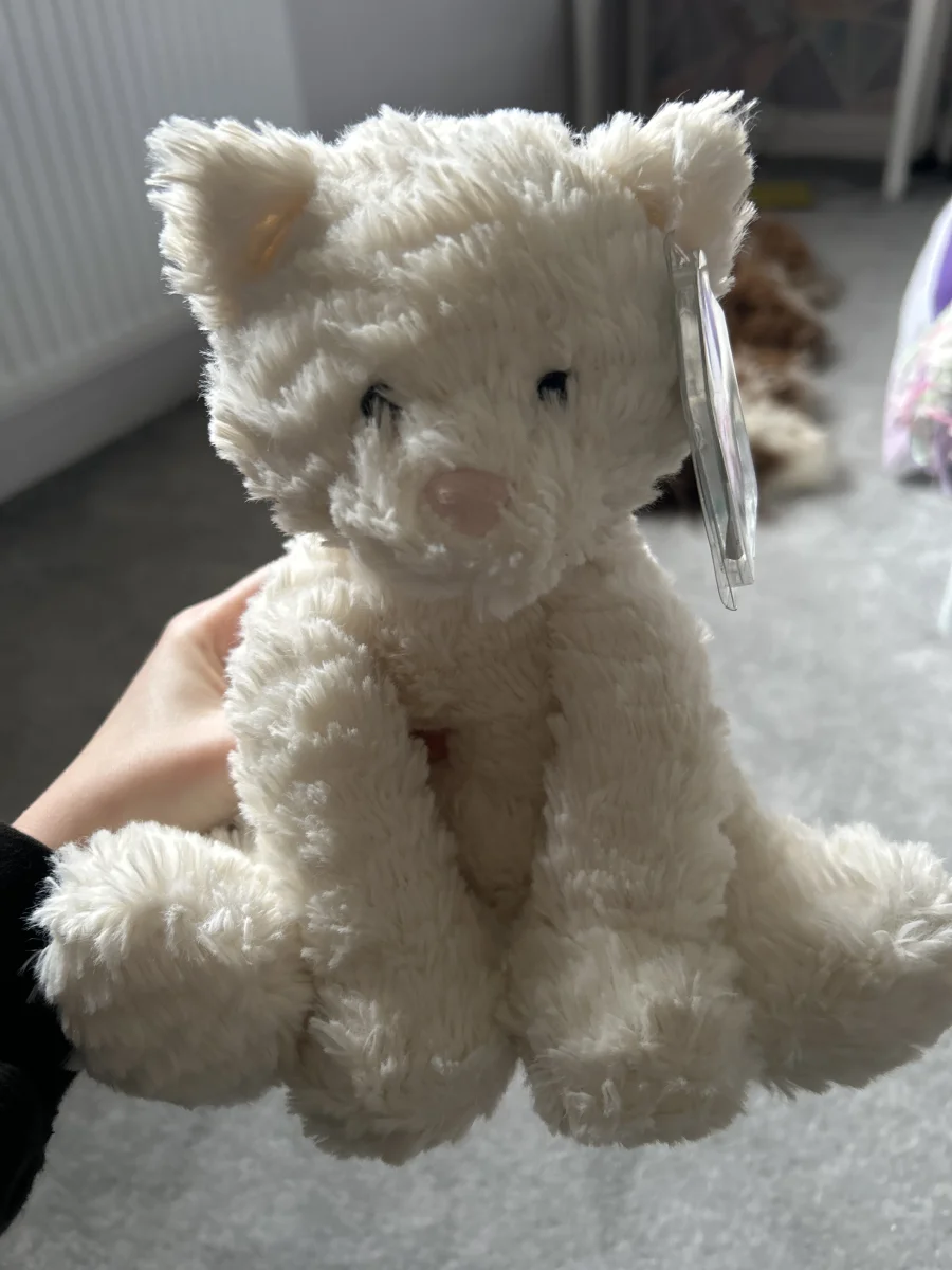 Front - Fuddlewuddle Kitty - Medium photo by Harper_hello
