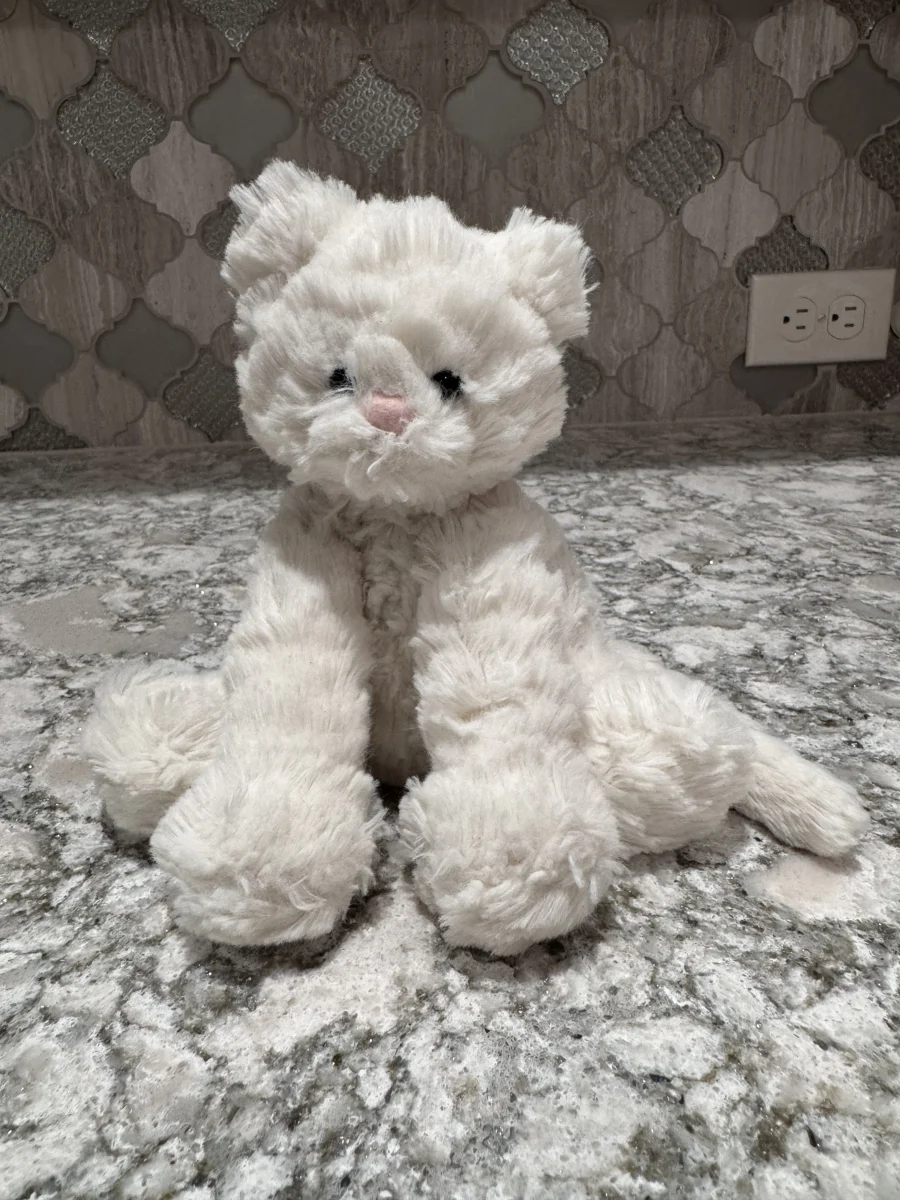 Front - Fuddlewuddle Kitty - Small photo by SnowLeopard821