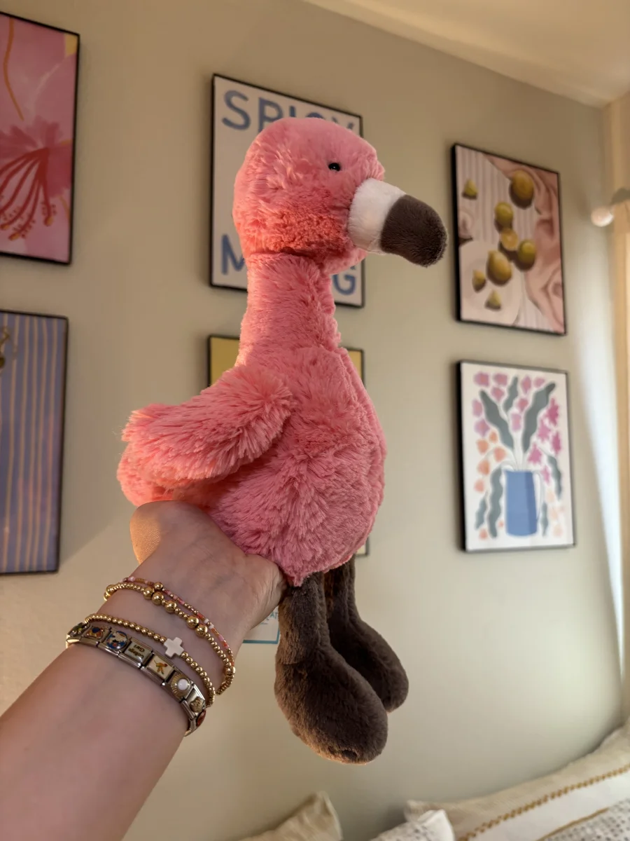 Back - Bashful Flamingo photo by Annie_b05