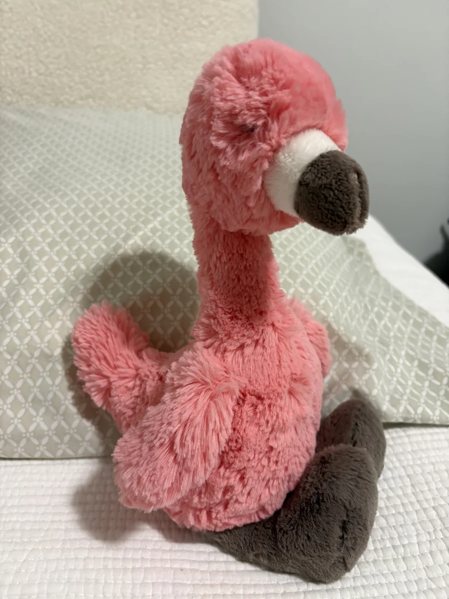 Side - Bashful Flamingo photo by Lex_suckow