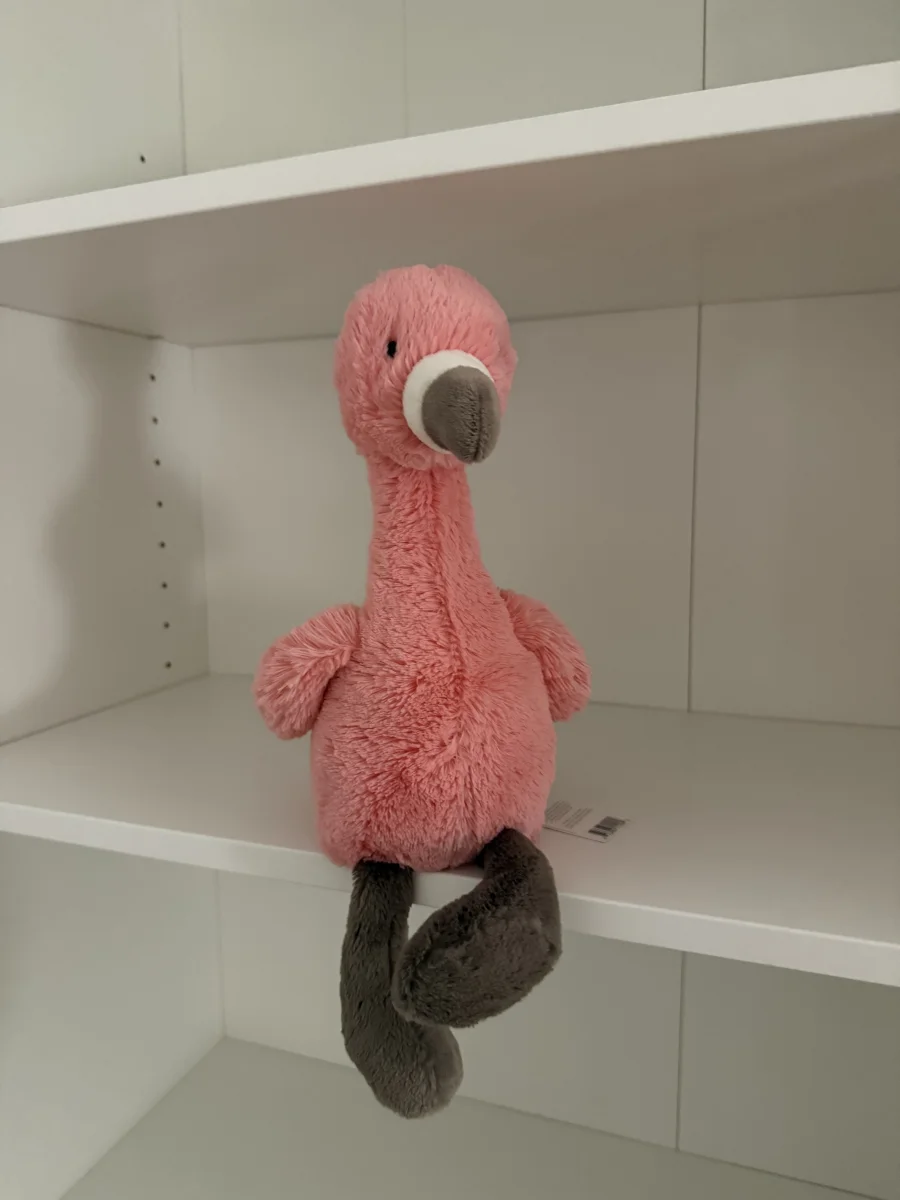 Front - Bashful Flamingo photo by ch1n4ss