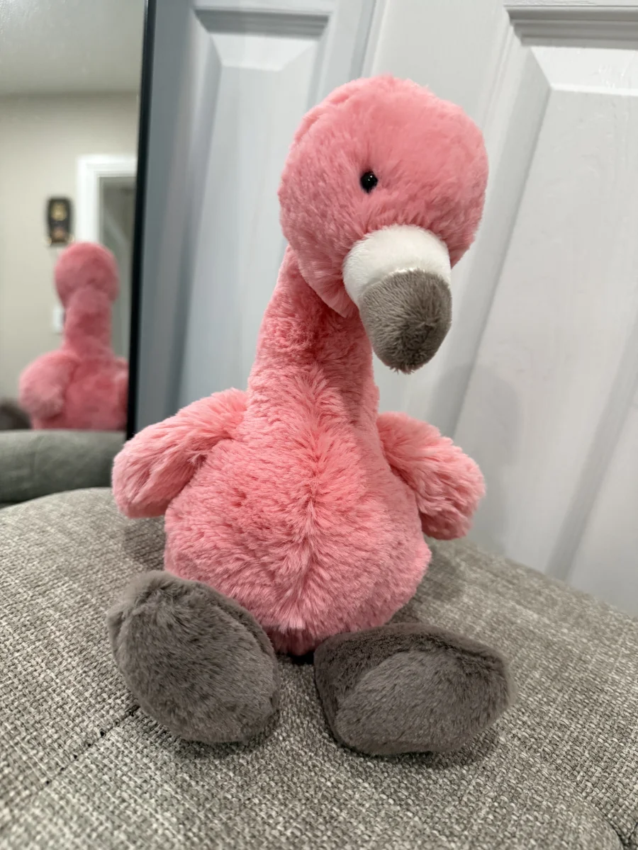 Front - Bashful Flamingo photo by JennieeC26